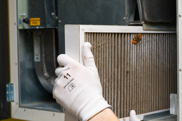 Best Home Air Vent Cleaning  in Electra, TX