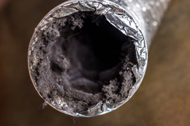 Best Best Air Duct Cleaning Company  in Electra, TX